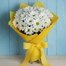 Букет цветов из:  Хризантемы в Балтаси