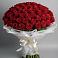 Букет 101 Красная роза Блэк Мэджик в Балтаси