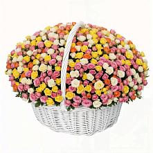 Премиум букет из: Розы в Балтаси