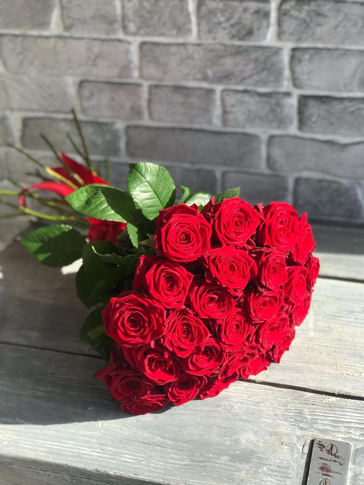 Букет Красные розы Фридом в Балтаси