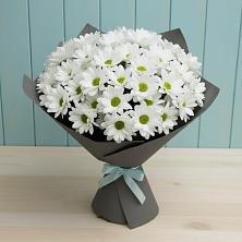 Букет цветов из:  Хризантемы в Балтаси