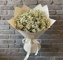 Букет цветов из:  Ромашки #REPLACE_PRED# Балтаси