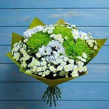 Букет цветов из:  Хризантемы в Балтаси