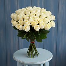 Букет 51 Белая роза Эдлесс Лав #REPLACE_PRED# Балтаси