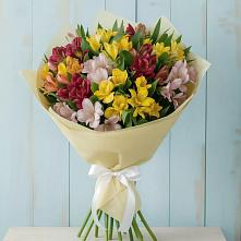 Букет цветов из:  Альстромерии в Балтаси