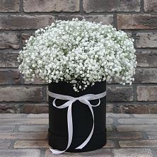 Цветочная композиция из Гипсофила в шляпной коробке в Балтаси