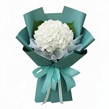 Букет цветов из:  Гортензия в Балтаси